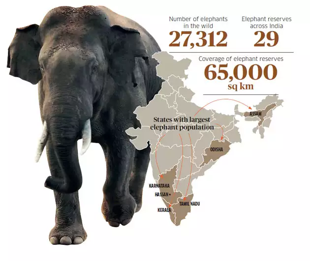 An AI-powered elephant tracking system to keep elephant attacks at bay